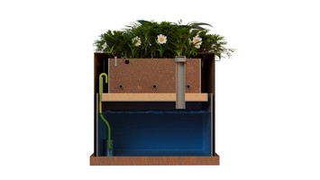 ACO ClimateBoxx-Pflanzen Bild