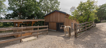 Header Lichtblickhof