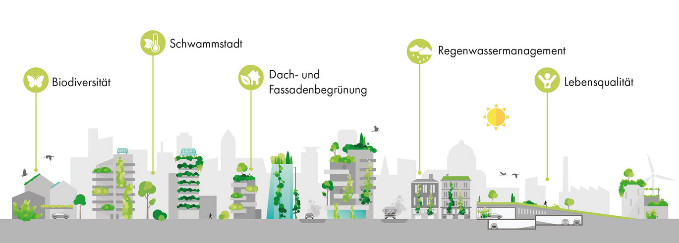 Fachseminar Regenwasser in Linz, Wien & Graz