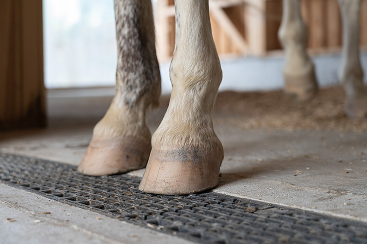 ACO Referenz Lichtblickhof Bild5