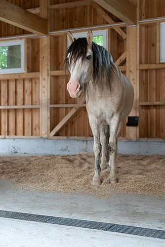 ACO Referenz Lichtblickhof Bild6