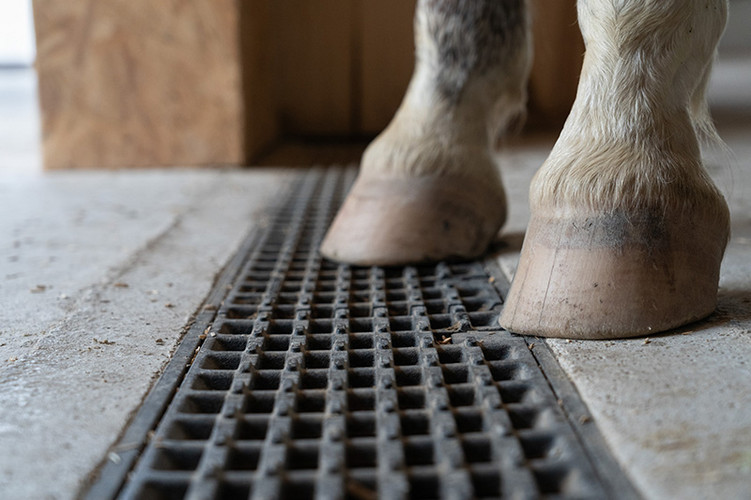 ACO Referenz Lichtblickhof Bild4