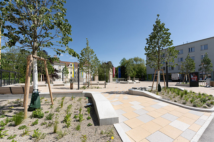 Schwammstadt Vöslau04