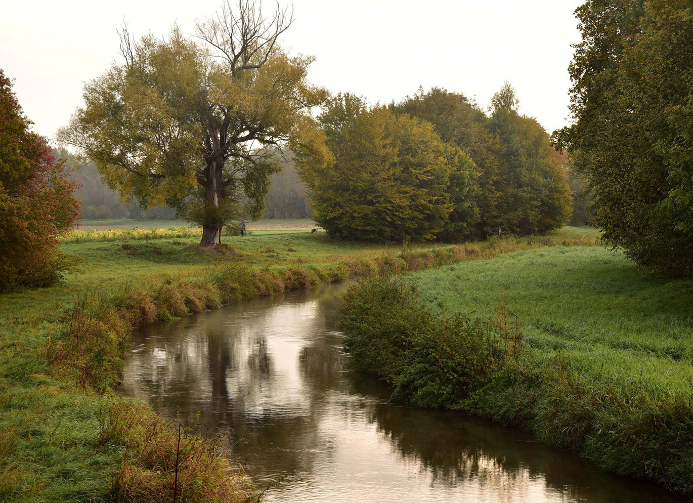 Grundwasserschutz- Wasser Und Wiese