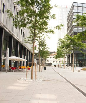 ACO-Referenz-QBC-Wien-2018-Preview