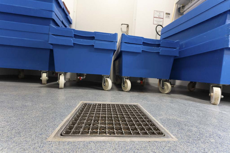 ACO Referenz Brotsüchtig Steyregg Bild14