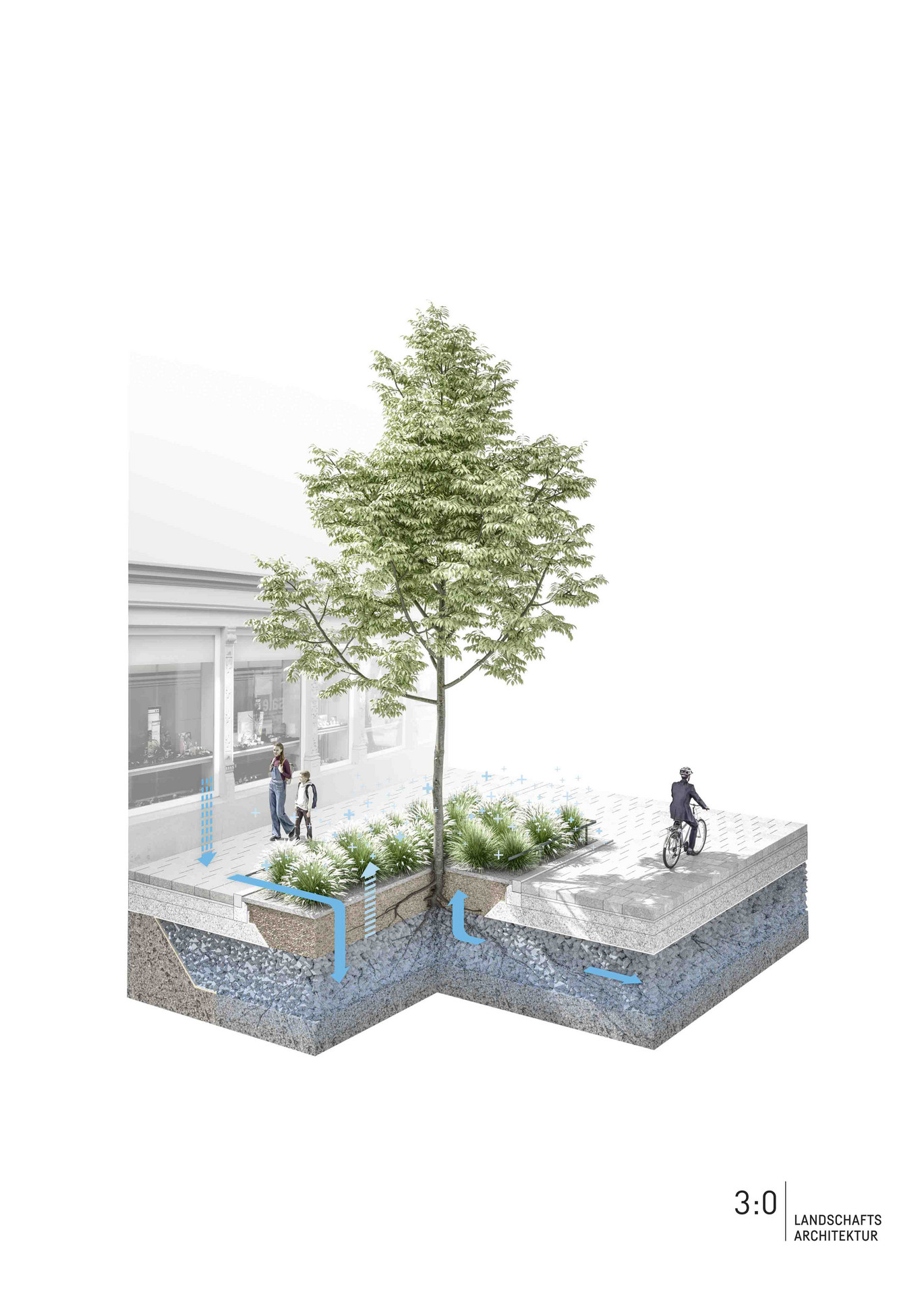 ACO News Schwammstadt Schema