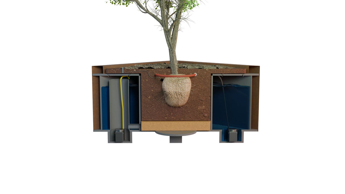 ACO ClimateBoxx-Baum Bild