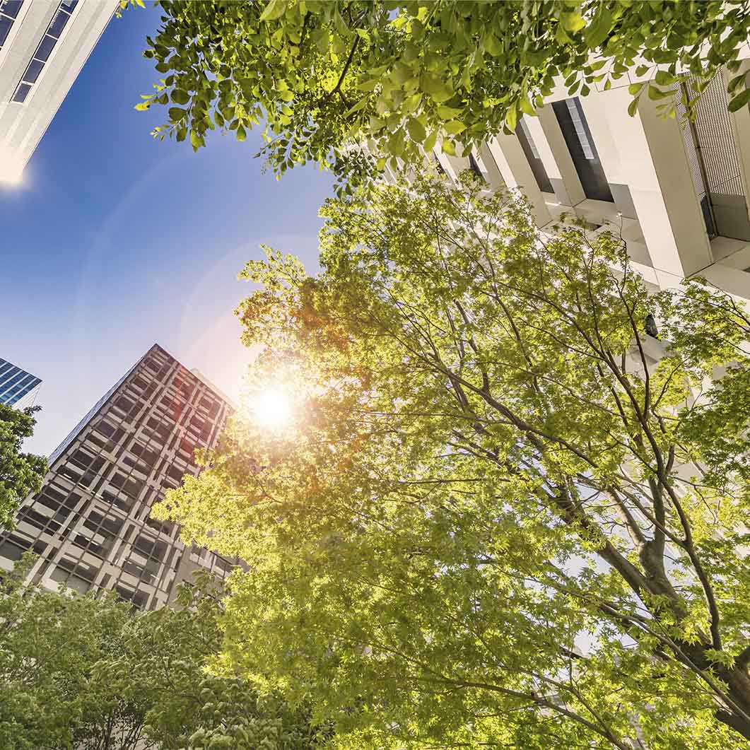 ACO Green City
Klimasensibles Bauen