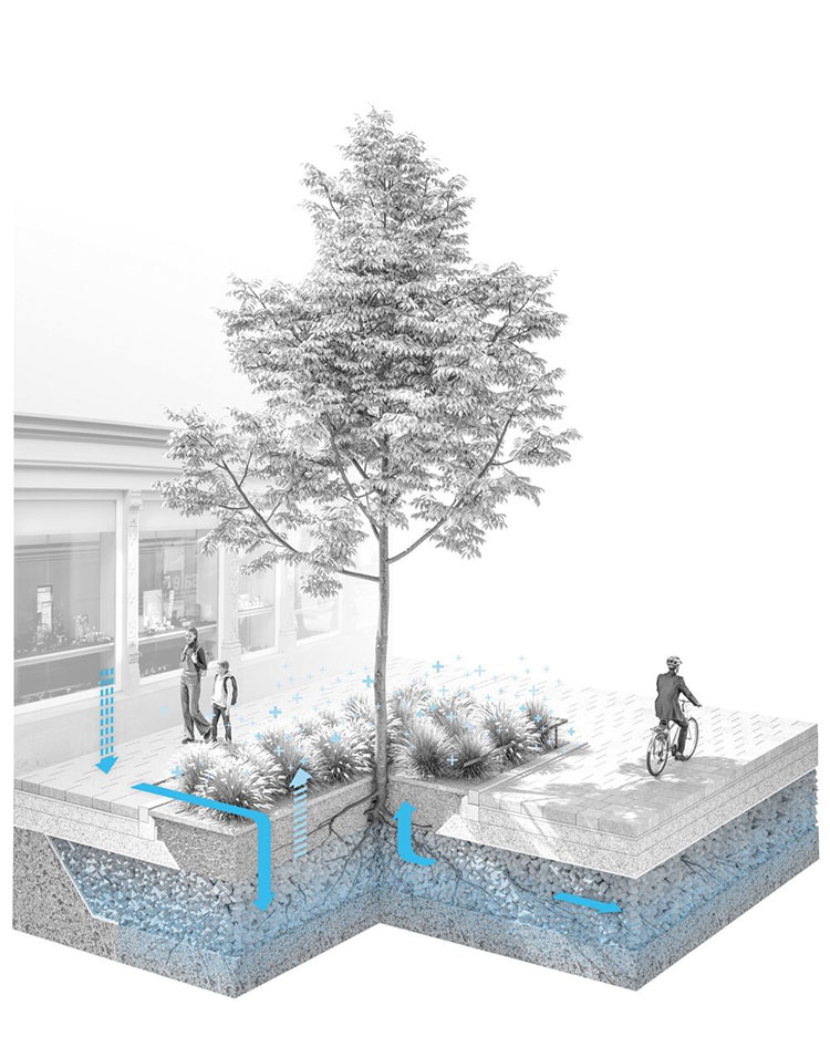 Schwammstadt Prinzip für Bäume - Copyright by 3:0 Landschaftsarchitektur